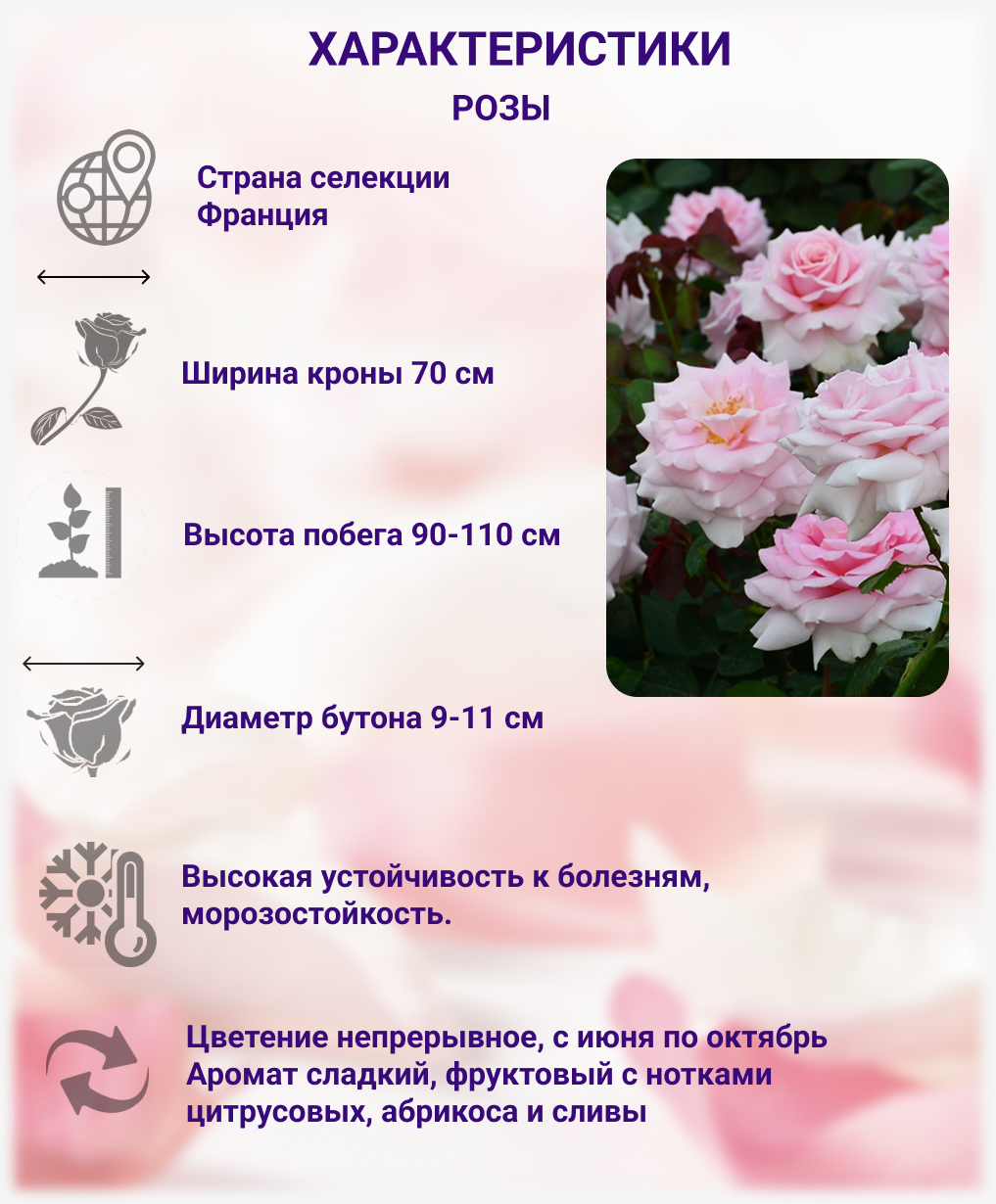 Фредерик Мистраль — изображение 2